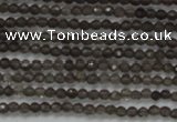 CTG200 15.5 inches 2mm faceted round tiny smoky quartz beads