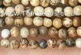 CTG2012 15 inches 2mm,3mm picture jasper beads