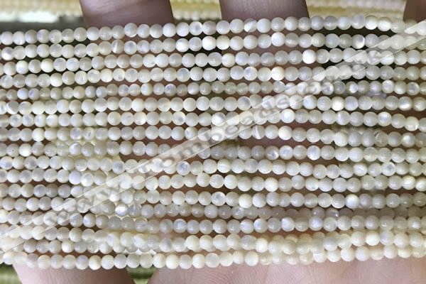 CTG2049 15 inches 2mm,3mm mother of pearl beads