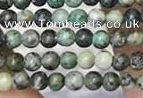 CTG2086 15 inches 2mm,3mm African turquoise gemstone beads