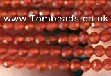 CTG2121 15 inches 2mm,3mm faceted round red agate gemstone beads