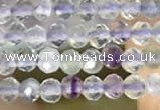 CTG2128 15 inches 2mm,3mm faceted round fluorite gemstone beads