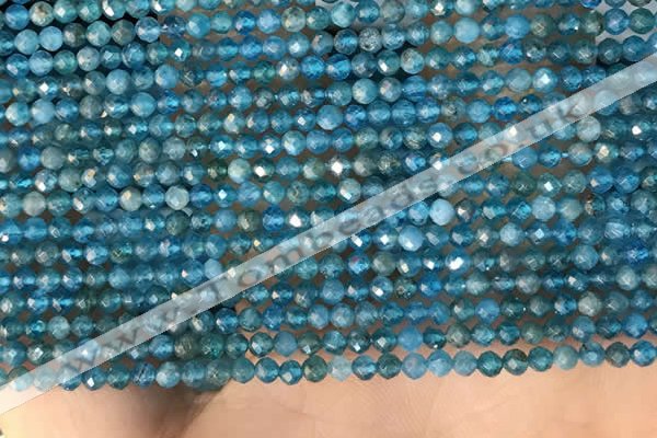 CTG2130 15 inches 2mm,3mm faceted round apatite gemstone beads