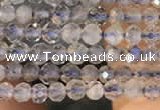 CTG2133 15 inches 2mm,3mm faceted round labradorite gemstone beads