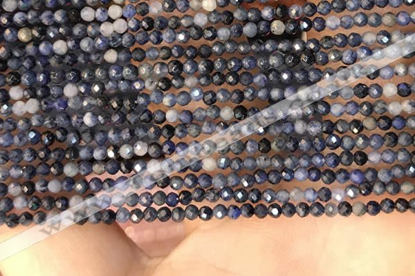 CTG2137 15 inches 2mm,3mm faceted round blue dumortierite beads