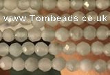 CTG2155 15 inches 2mm,3mm faceted round amazonite gemstone beads