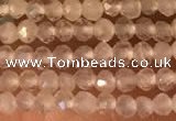 CTG2156 15 inches 2mm,3mm faceted round white moonstone beads