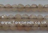 CTG218 15.5 inches 3mm faceted round tiny moonstone beads