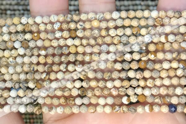 CTG2213 15 inches 2mm,3mm faceted round picture jasper beads