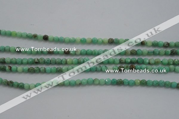 CTG225 15.5 inches 3mm faceted round tiny grass agate beads