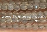 CTG2255 15 inches 2mm faceted round grey agate beads