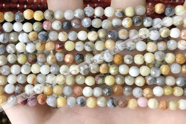 CTG2536 15.5 inches 4mm faceted round crazy lace agate beads