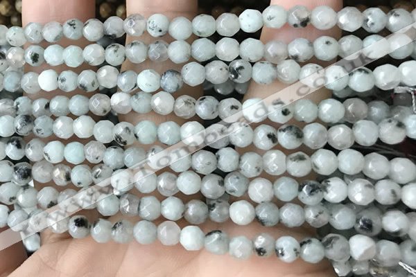 CTG3557 15.5 inches 4mm faceted round sesame jasper beads