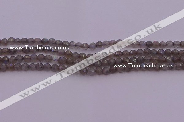 CTG509 15.5 inches 4mm faceted round tiny labradorite beads