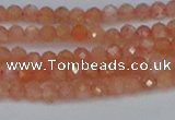 CTG610 15.5 inches 3mm faceted round golden sunstone beads