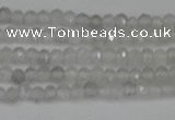 CTG612 15.5 inches 2mm faceted round labradorite beads