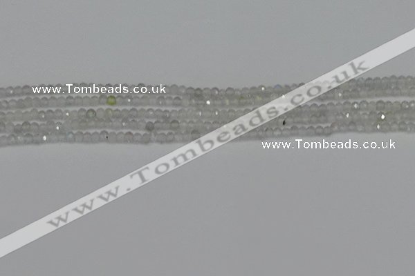 CTG612 15.5 inches 2mm faceted round labradorite beads