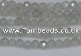 CTG613 15.5 inches 3mm faceted round labradorite beads