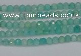 CTG647 15.5 inches 2mm faceted round Peru amazonite beads