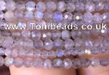 CTG700 15.5 inches 2mm faceted round tiny labradorite beads