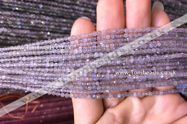 CTG700 15.5 inches 2mm faceted round tiny labradorite beads