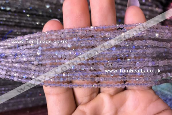 CTG701 15.5 inches 3mm faceted round tiny labradorite beads