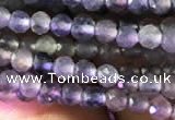 CTG751 15.5 inches 3mm faceted round tiny iolite beads wholesale