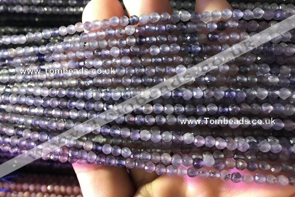 CTG751 15.5 inches 3mm faceted round tiny iolite beads wholesale