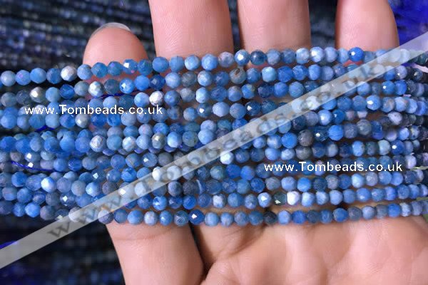 CTG760 15.5 inches 3mm faceted round tiny apatite gemstone beads