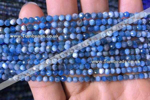 CTG761 15.5 inches 4mm faceted round tiny apatite gemstone beads