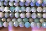CTG774 15.5 inches 2mm faceted round tiny amazonite beads wholesale