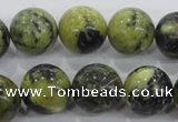 CTP106 15.5 inches 16mm round yellow pine turquoise beads wholesale