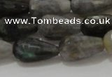 CTR120 15.5 inches 10*20mm faceted teardrop labradorite beads