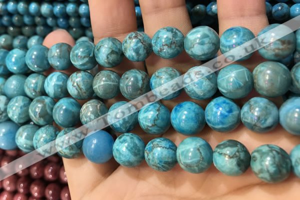 CTU3019 15.5 inches 12mm round South African turquoise beads