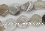 CTW25 15.5 inches 16mm twisted coin botswana agate beads wholesale