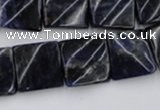 CTW355 15.5 inches 16*16mm twisted square sodalite gemstone beads
