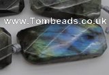 CTW457 20*38mm faceted & twisted rectangle labradorite beads