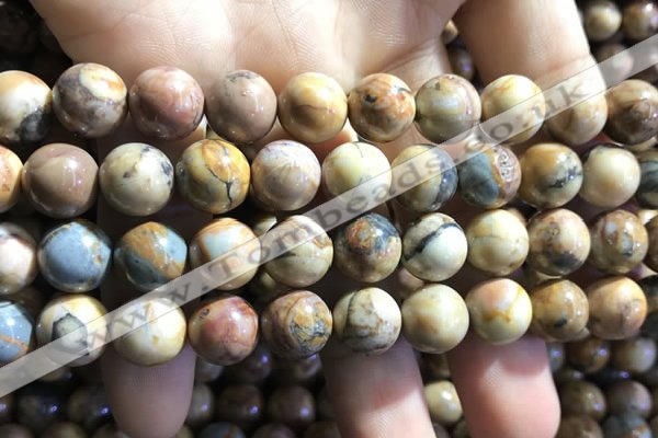 CVJ04 15.5 inches 10mm round venus jasper beads wholesale