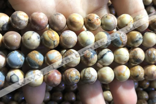 CVJ05 15.5 inches 12mm round venus jasper beads wholesale