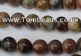 CWJ273 15.5 inches 10mm round wood jasper gemstone beads wholesale