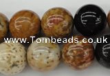 CWJ284 15.5 inches 16mm round wood jasper gemstone beads wholesale