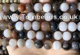 CWJ572 15.5 inches 12mm round Arizona petrified wood jasper beads