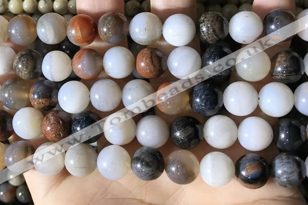 CWJ572 15.5 inches 12mm round Arizona petrified wood jasper beads