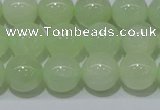 CXJ503 15.5 inches 10mm round New jade beads wholesale