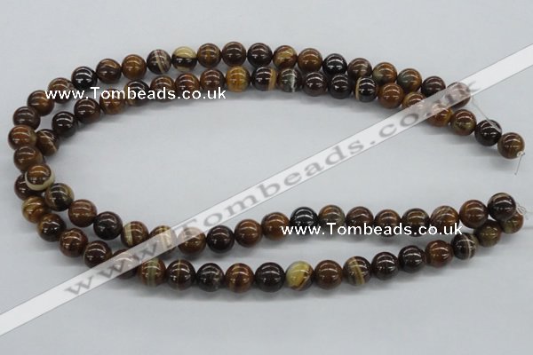 CZJ171 15.5 inches 10mm round iron zebra jasper beads wholesale