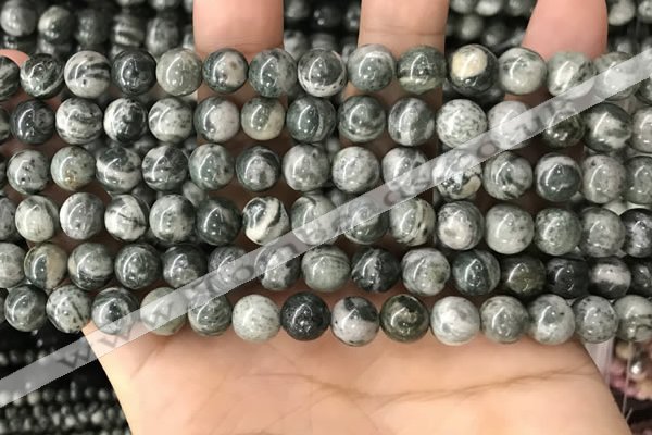 CZJ411 15.5 inches 6mm round green zebra jasper beads wholesale