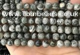 CZJ412 15.5 inches 8mm round green zebra jasper beads wholesale