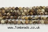 CZJ423 15.5 inches 10mm round Australian zebra jasper beads wholesale