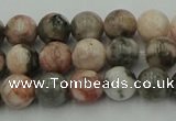 CZJ551 15.5 inches 6mm round pink zebra jasper beads wholesale