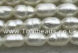 FWP153 14.5 inches 2mm - 3mm rice white freshwater pearl strands